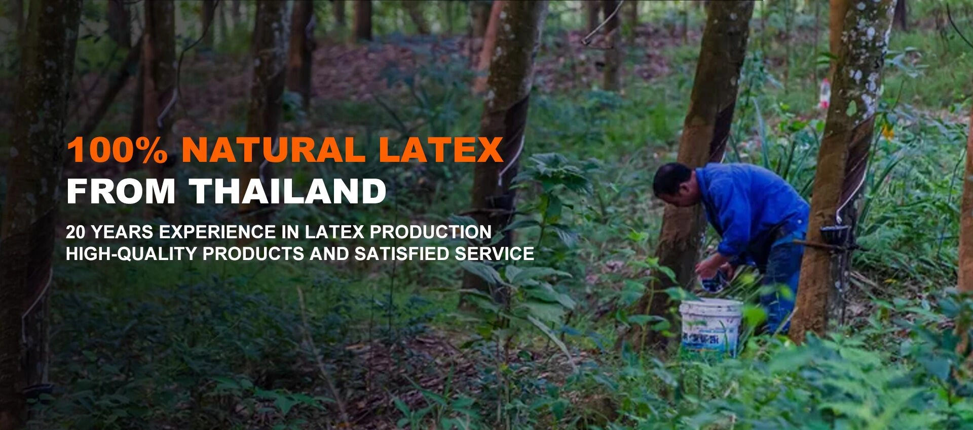 Provedor de colchóns de látex natural